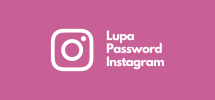 Lupa Password Instagram